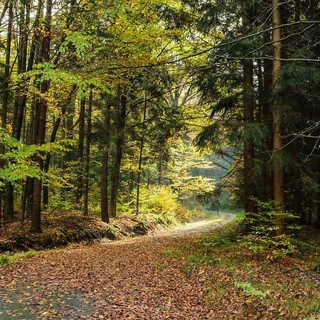 Weinberghaus Prossen Villa Bad Schandau Buitenkant foto