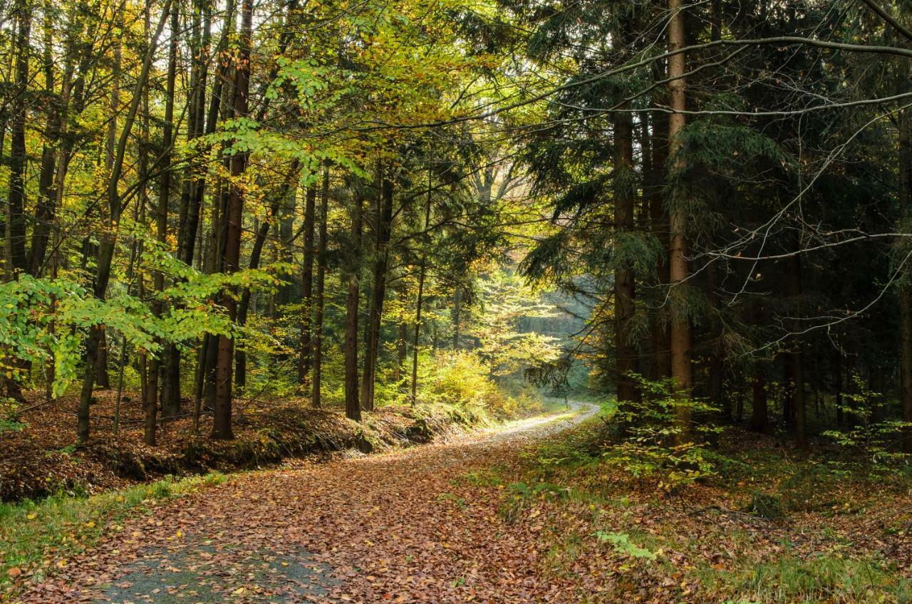 Weinberghaus Prossen Villa Bad Schandau Buitenkant foto